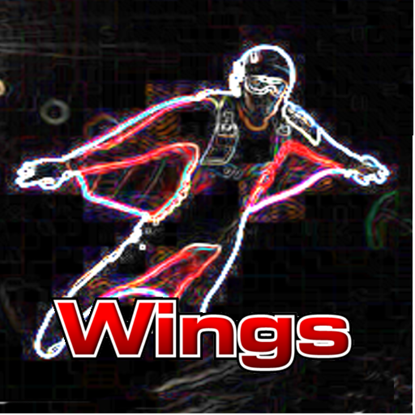 Picture of Dive Wings