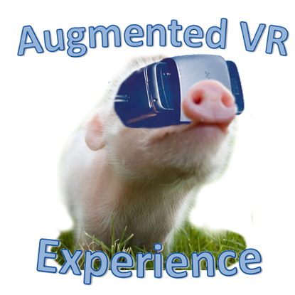 Augmented VR Experience Demo の画像