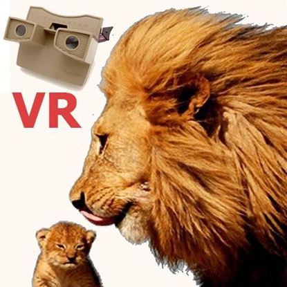 VR Safari の画像