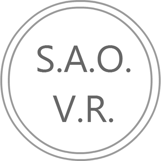 Picture of SAO VR